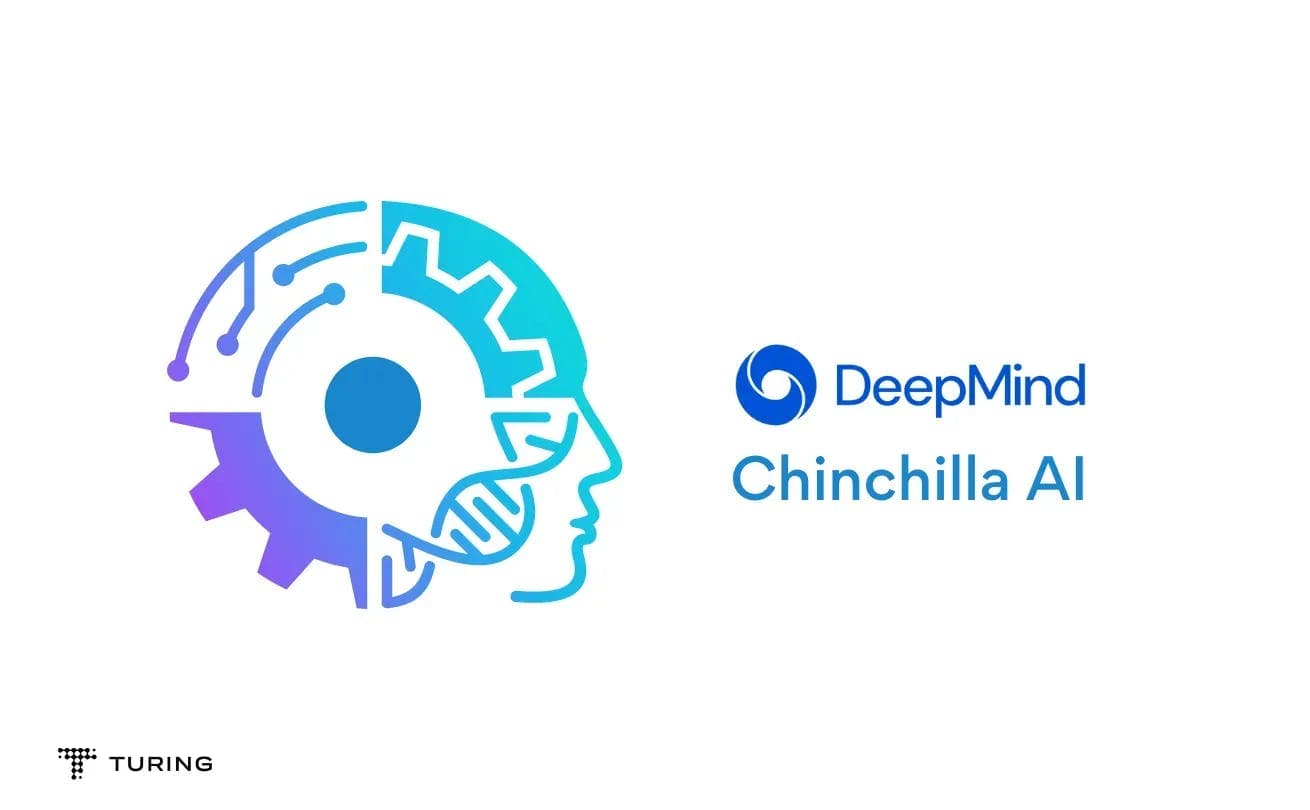 Chinchilla - official image