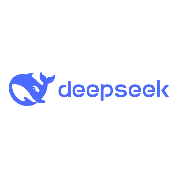 DeepSeek V2 - official image
