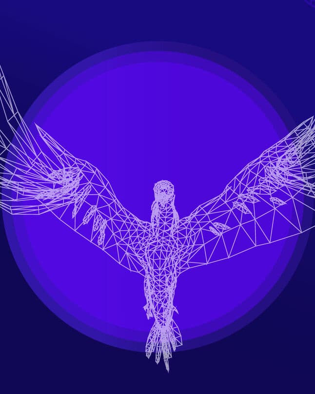 Falcon 3 - official image